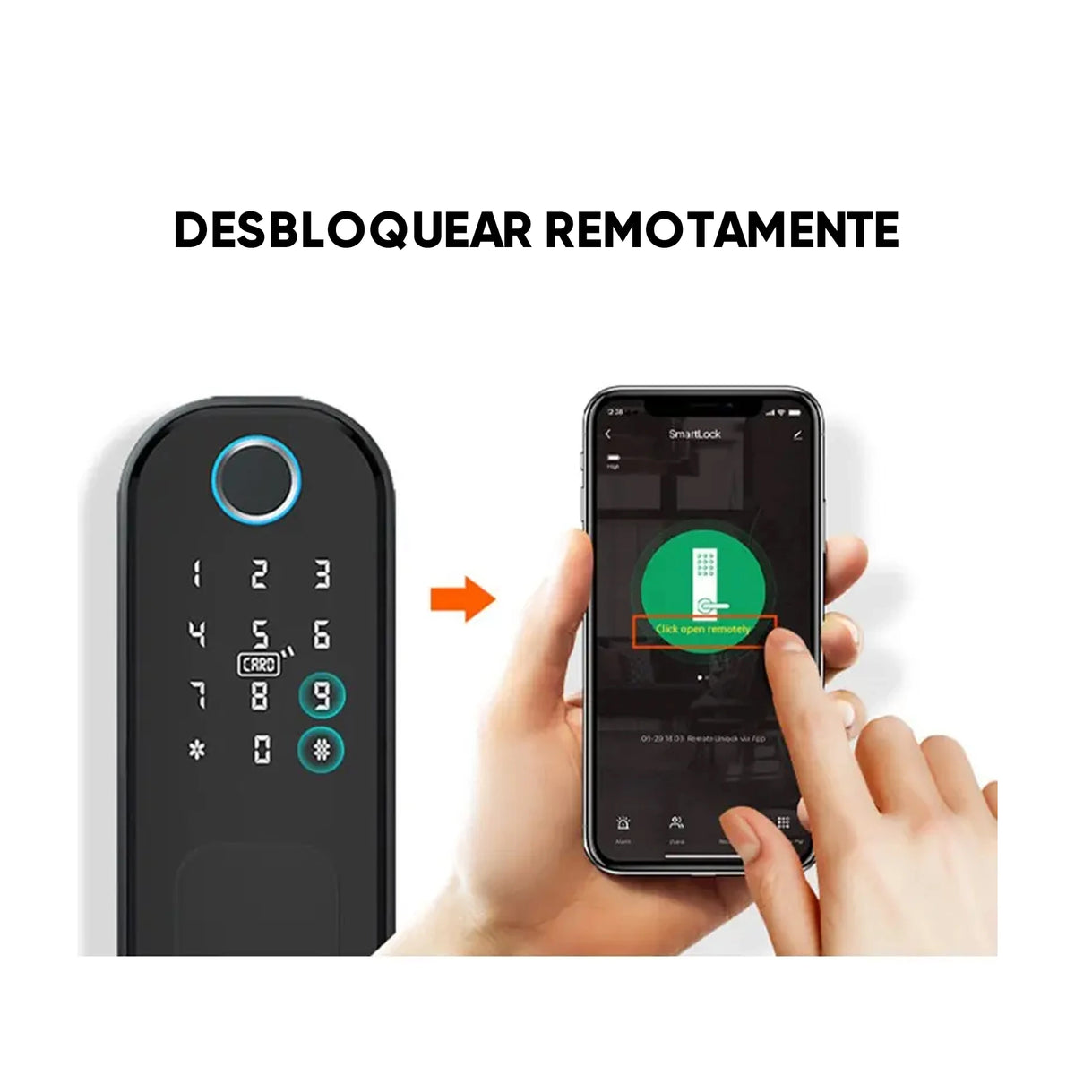 Cerradura Digital Tipo RIM F20 Tuya